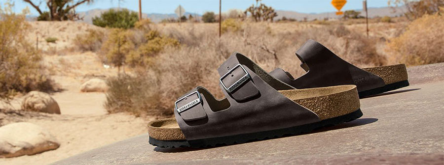 чехлите Birkenstock Arizona снимка за корица